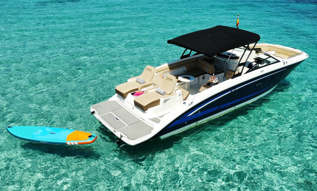 Alquilar Barco SEA RAY 290