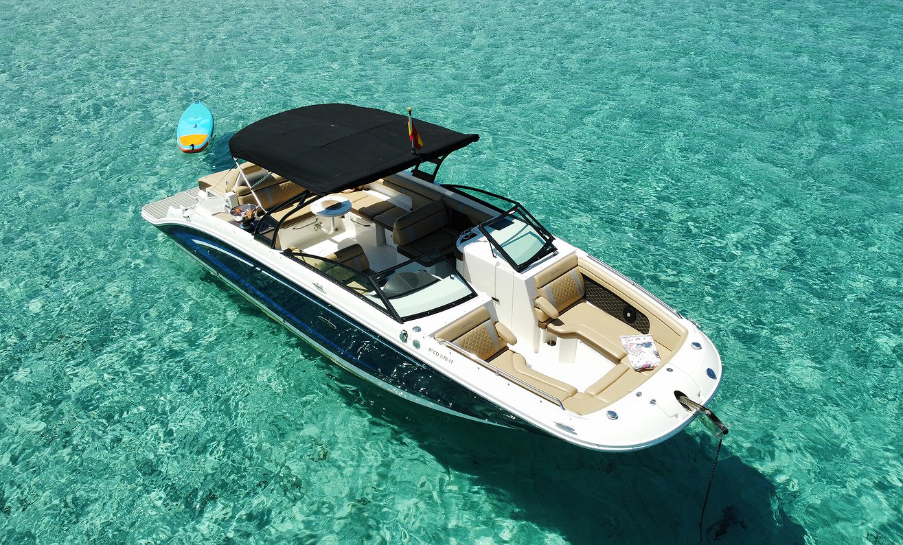 Alquilar Barco SEA RAY 290