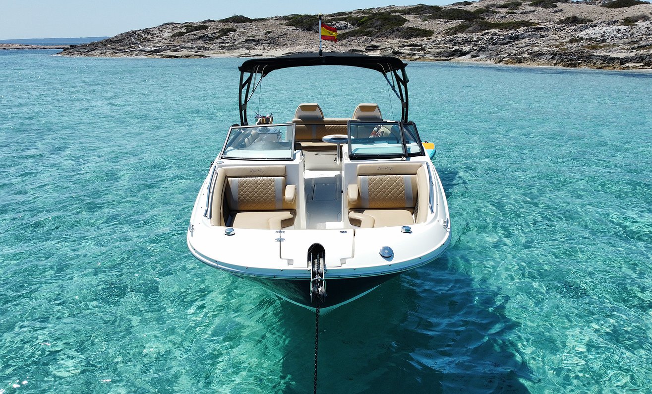 Alquilar Barco SEA RAY 290